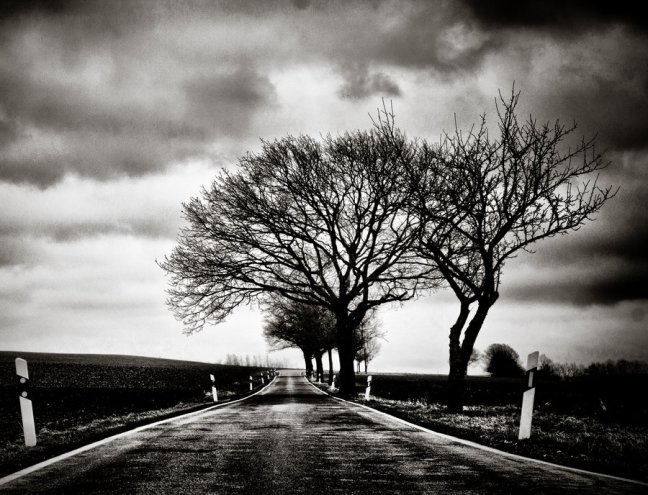 dark road to nowhere